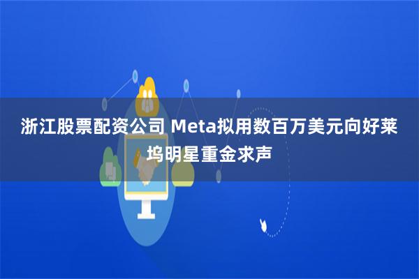 浙江股票配资公司 Meta拟用数百万美元向好莱坞明星重金求声