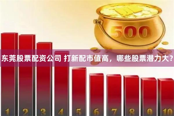 东莞股票配资公司 打新配市值高,哪些股票潜力大?