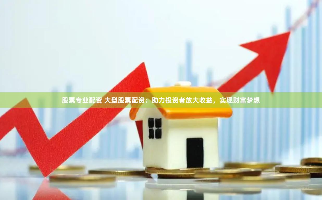 股票专业配资 大型股票配资：助力投资者放大收益，实现财富梦想