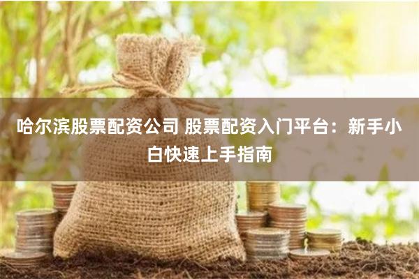 哈尔滨股票配资公司 股票配资入门平台:新手小白快速上手指南
