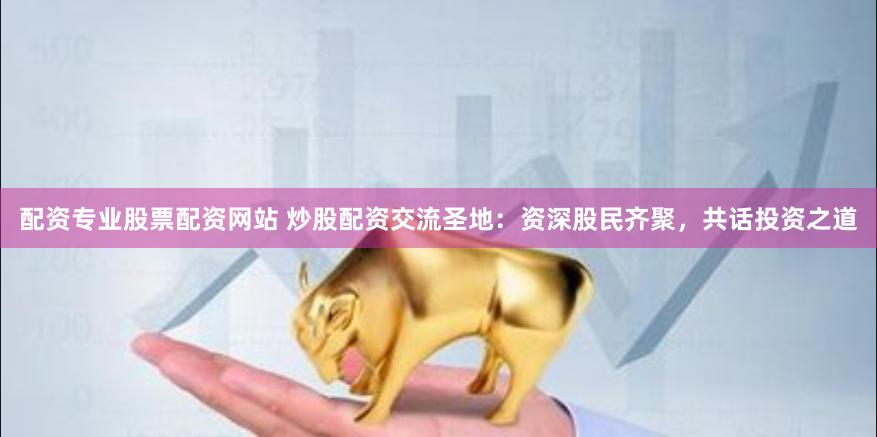 配资专业股票配资网站 炒股配资交流圣地:资深股民齐聚,共话投资之道