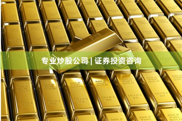 专业炒股公司 | 证券投资咨询
