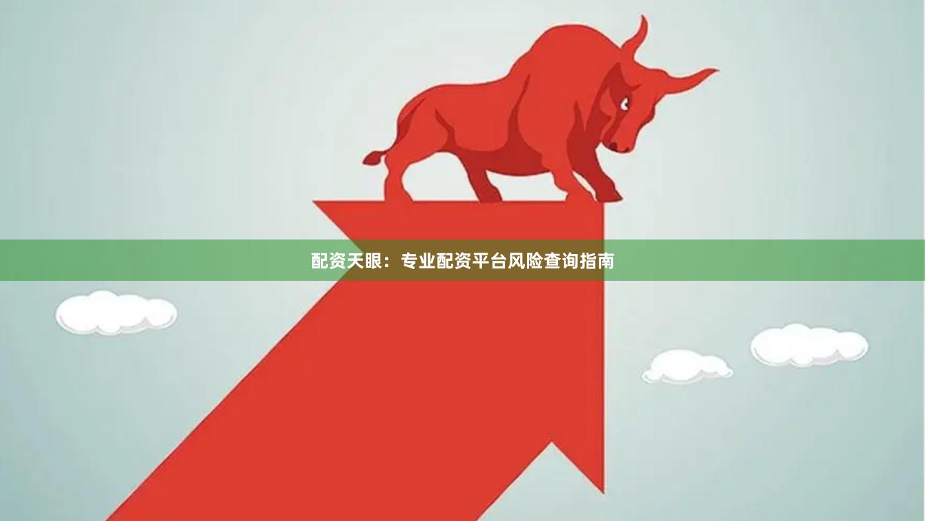 配资天眼：专业配资平台风险查询指南