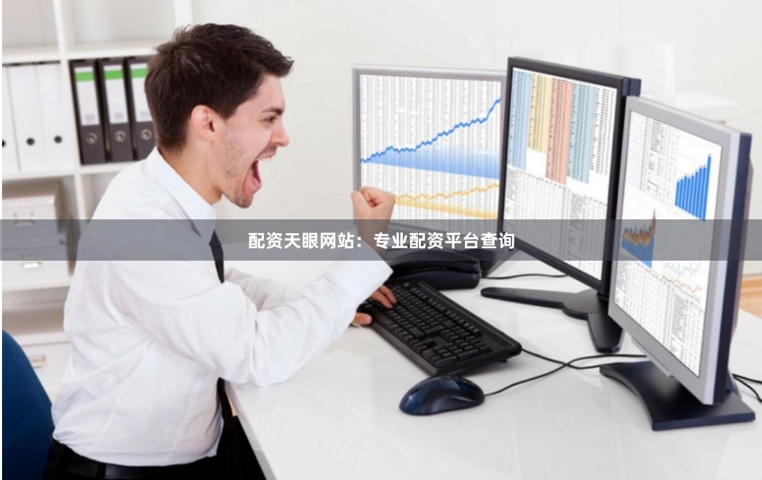 配资天眼网站：专业配资平台查询