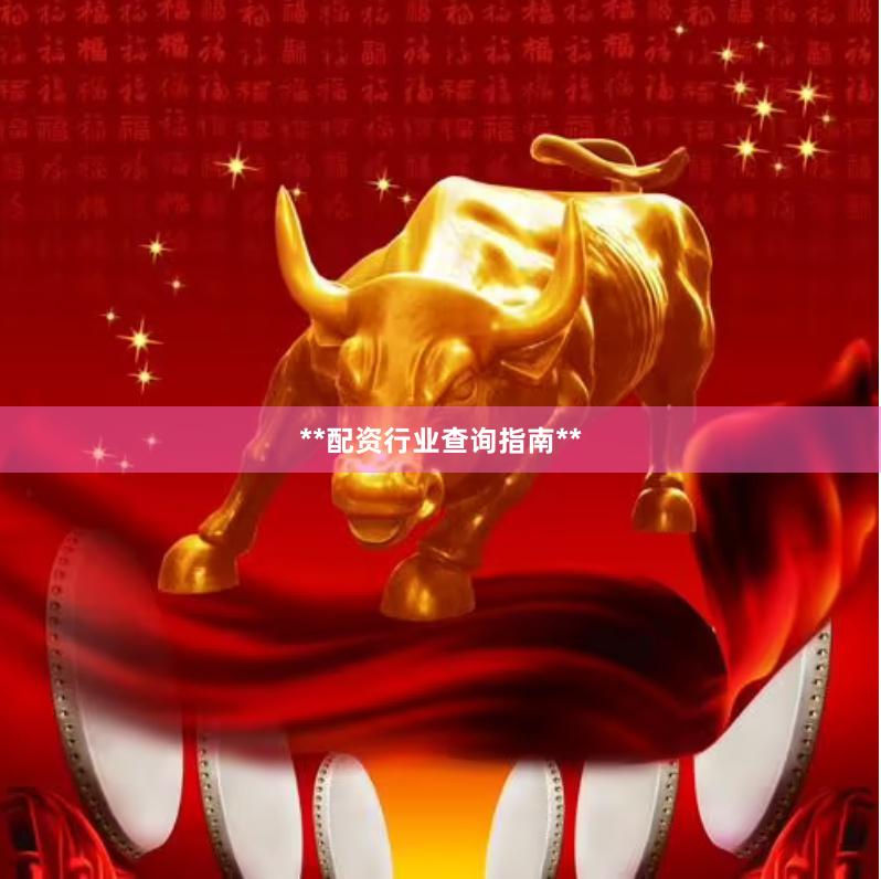 **配资行业查询指南**