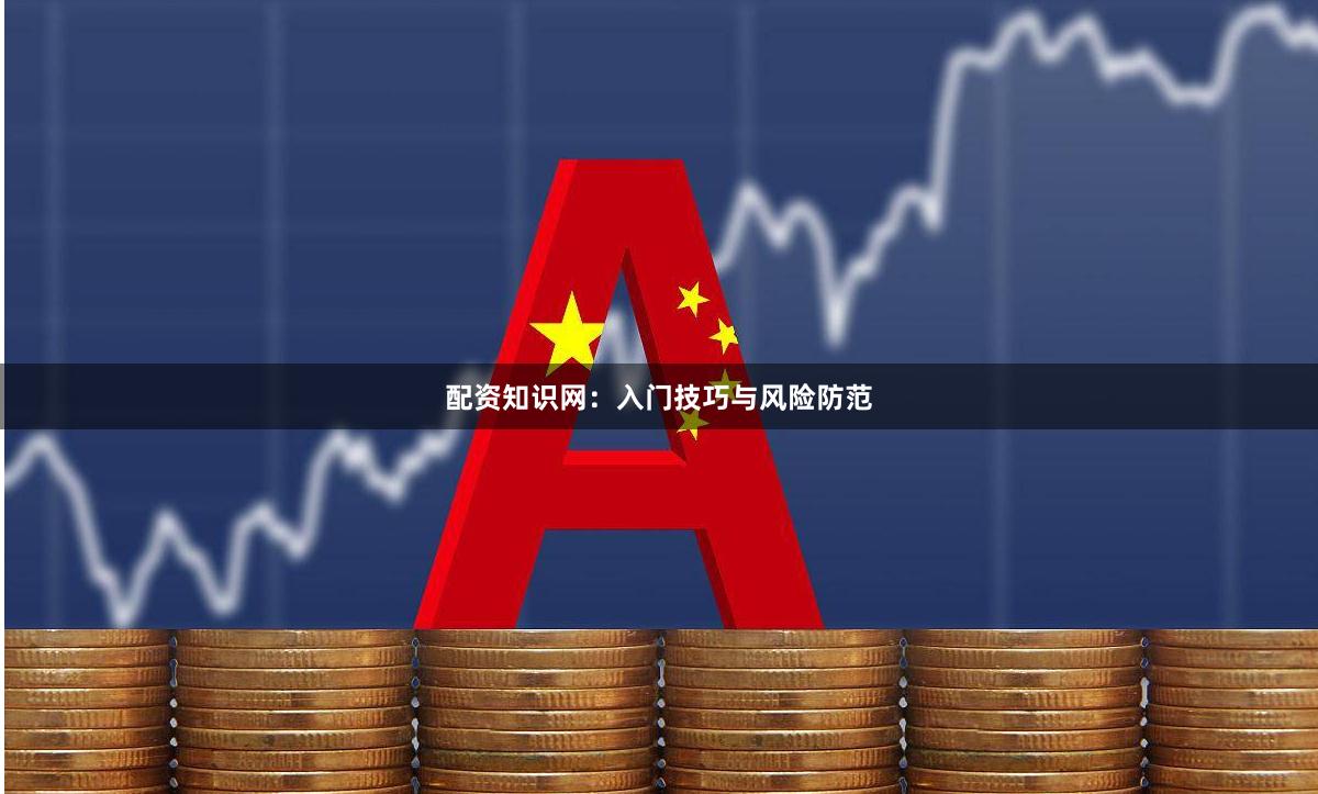 配资知识网：入门技巧与风险防范