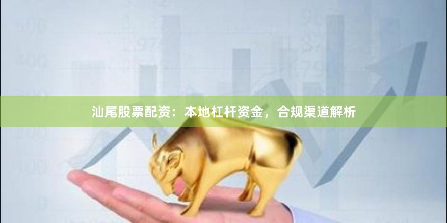 汕尾股票配资：本地杠杆资金，合规渠道解析